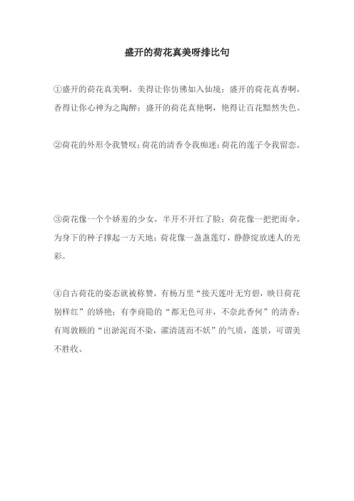 盛开的荷花真美呀排比句
