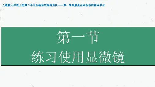 练习使用显微镜 -2022-2023学年七年级生物上册课件(人教版)