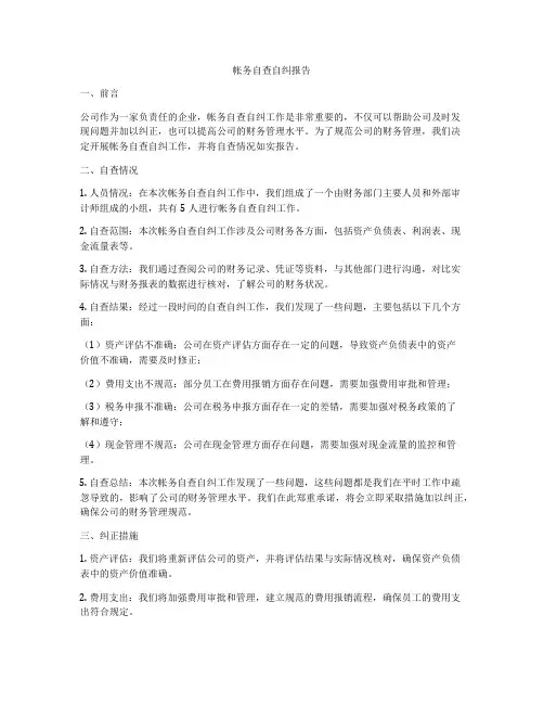 帐务自查自纠报告