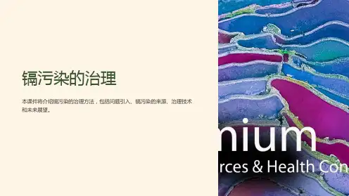 《镉污染的治理》课件