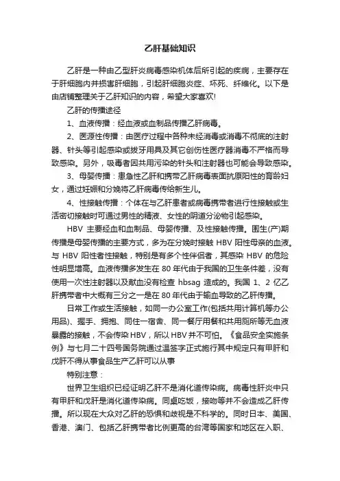 乙肝基础知识