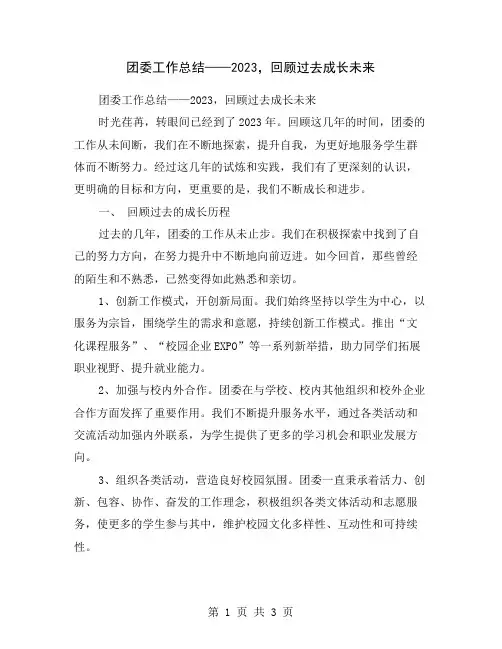 团委工作总结——2023,回顾过去成长未来