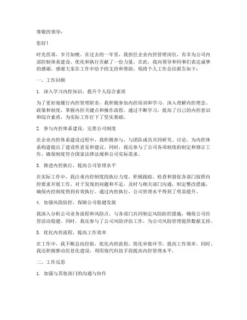 企业内控个人工作总结报告
