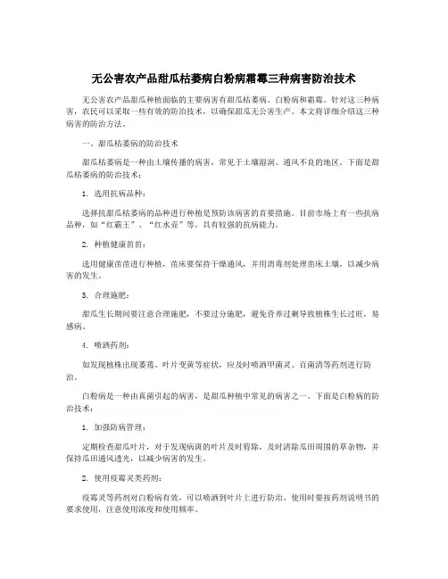无公害农产品甜瓜枯萎病白粉病霜霉三种病害防治技术