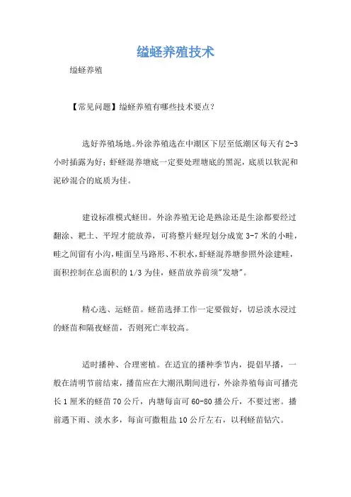 缢蛏养殖技术