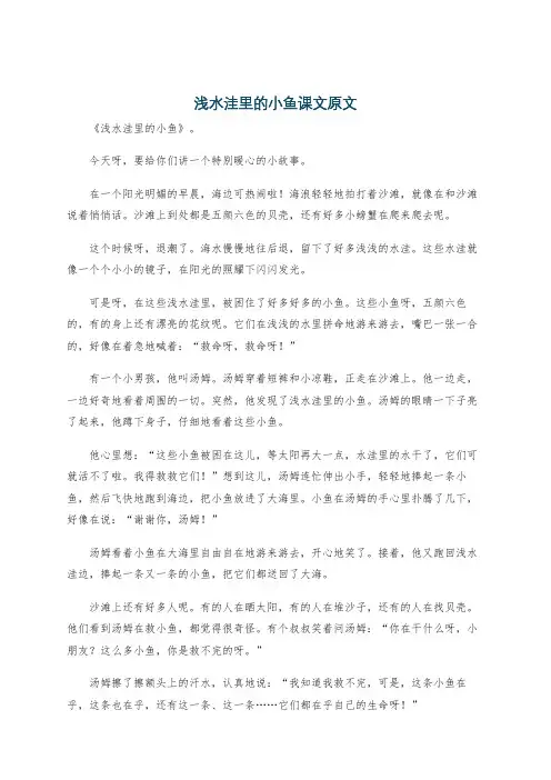 浅水洼里的小鱼课文原文