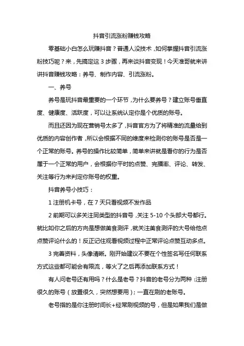 抖音引流涨粉赚钱攻略
