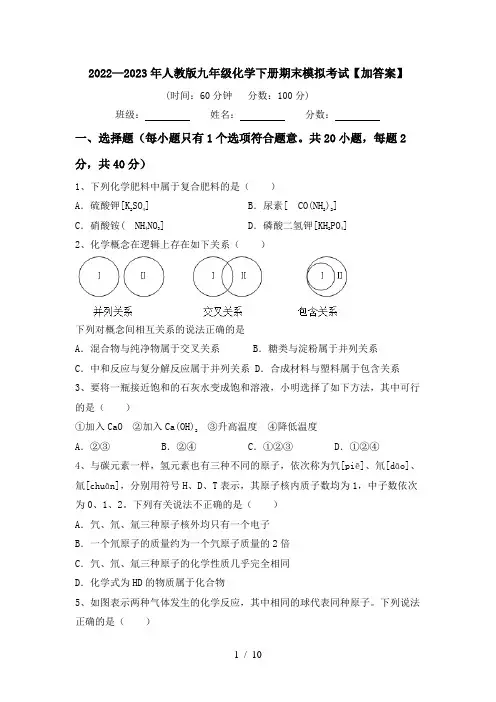 2022—2023年人教版九年级化学下册期末模拟考试【加答案】