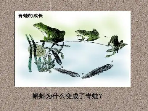 运动是物质的根本属性 PPT教学课件 人教课标版