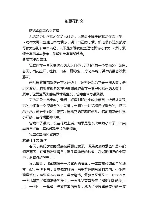 紫藤花作文
