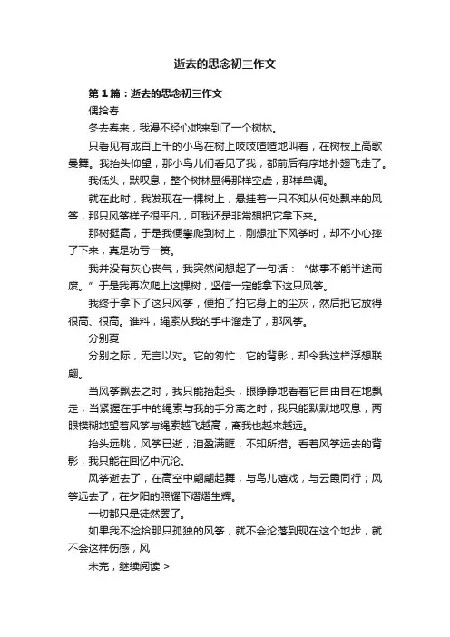 逝去的思念初三作文