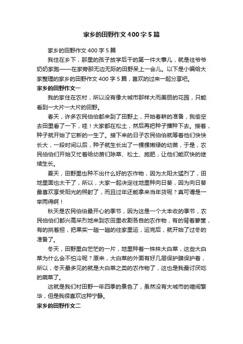 家乡的田野作文400字5篇