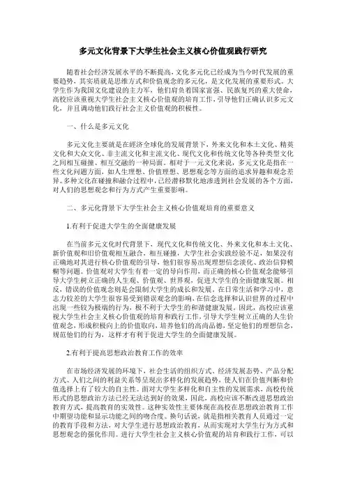 多元文化背景下大学生社会主义核心价值观践行研究