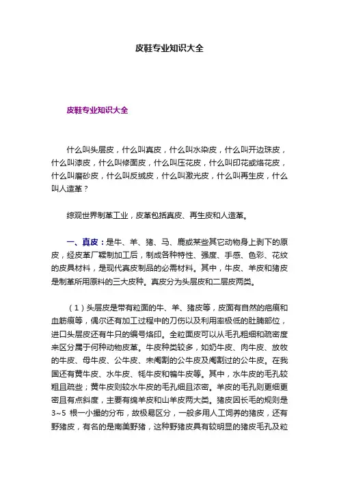 皮鞋专业知识大全