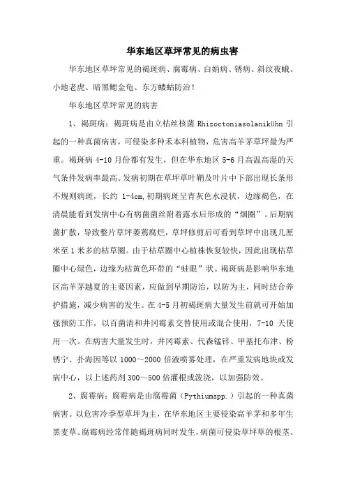 华东地区草坪常见的病虫害