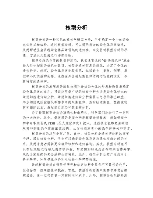 核型分析 
