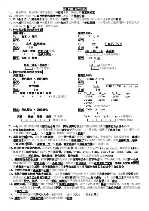 湖南省普通高中生物学业水平考试知识点整理(人教版必修2)