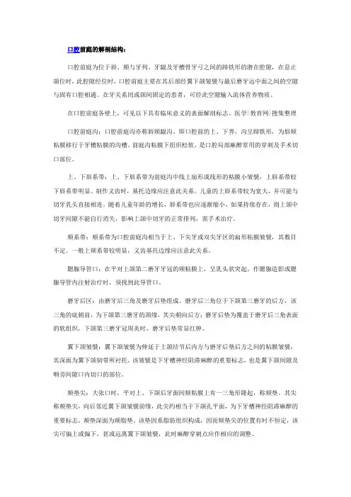 口腔前庭的解剖结构
