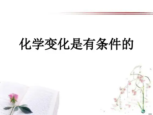 《化学变化是有条件》化学变化及其表示PPT课件  图文