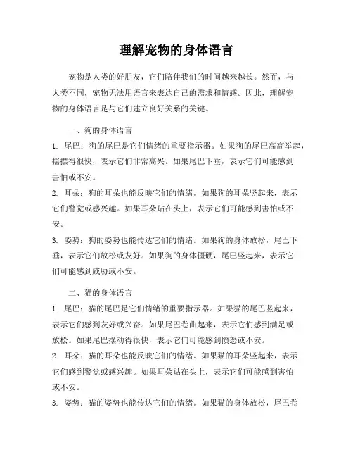 理解宠物的身体语言