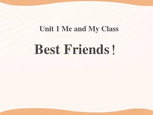 《Best Friends》_Me and My Class PPT优秀课件11