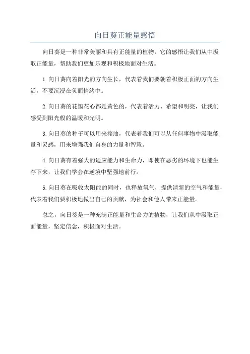 向日葵正能量感悟