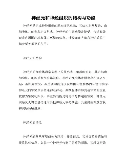 神经元和神经组织的结构与功能