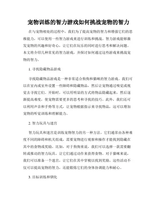 宠物训练的智力游戏如何挑战宠物的智力
