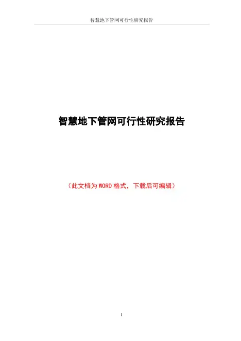 智慧地下管网可行性研究报告