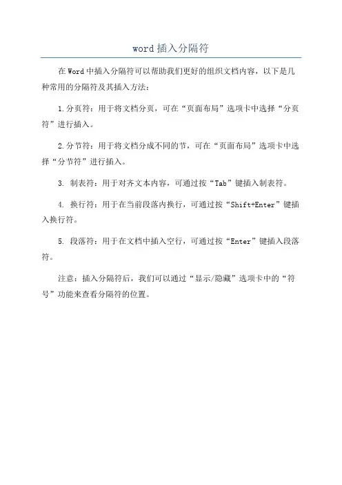 word插入分隔符