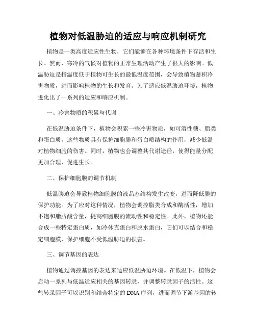 植物对低温胁迫的适应与响应机制研究