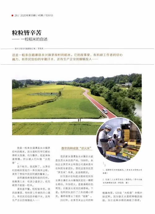 粒粒皆辛苦--粒稻米的自述