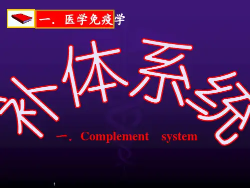 补体ppt课件
