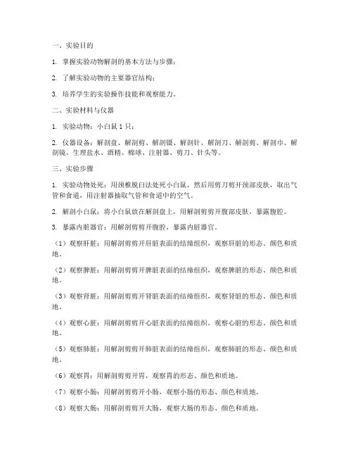 实验动物解剖实验报告