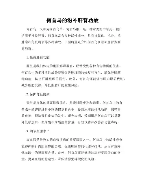 何首乌的滋补肝肾功效