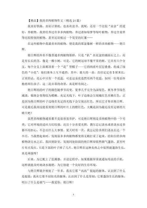 我的多肉植物作文(14篇)(精选)