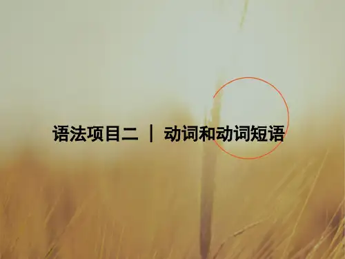 2018版高考英语江苏版二轮专题复习配套课件：专题一 单项填空 语法项目二 精品
