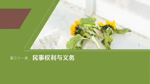 选择性必修2第三十一课课时2依法有效保护财产权