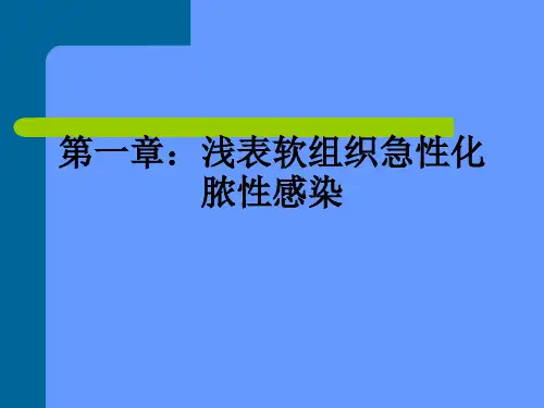第一章：浅表软组织急性化脓性感染ppt课件