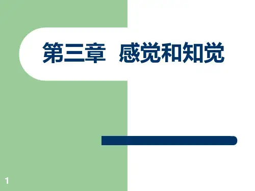 心理学第三章___感觉和知觉PPT课件