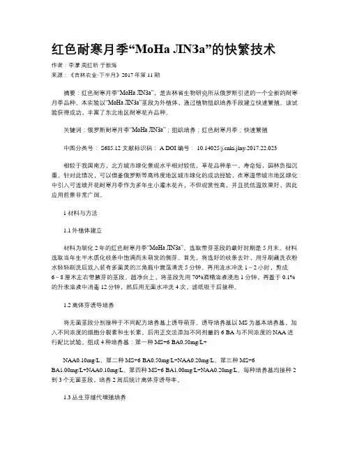 红色耐寒月季“MoHa ЛNЗa”的快繁技术