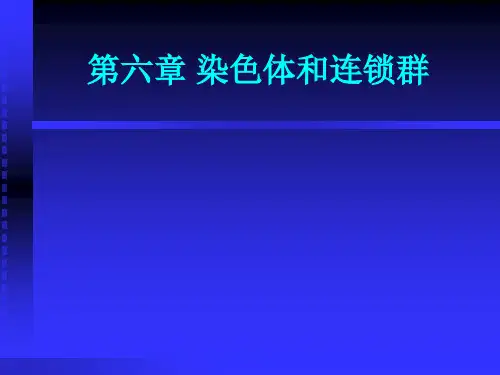 6第六章染色体和连锁群91页PPT