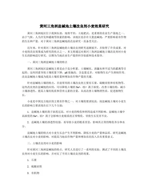 黄河三角洲盐碱地土壤改良剂小麦效果研究