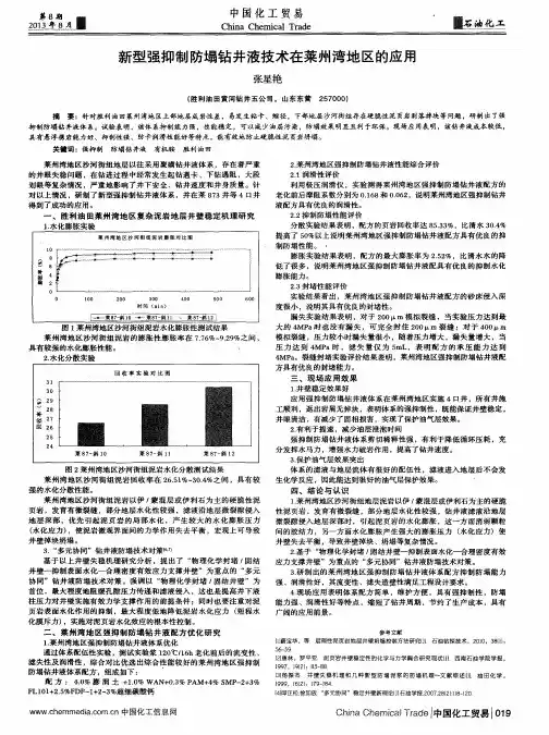 新型强抑制防塌钻井液技术在菜州湾地区的应用