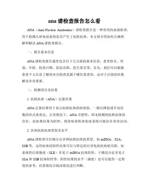 ana谱检查报告怎么看