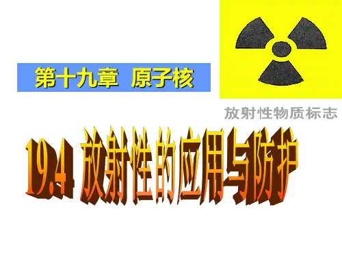物理选修3-5 19.4 放射性的应用与防护 LI