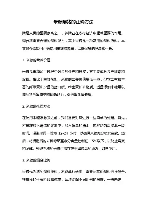 米糠喂猪的正确方法