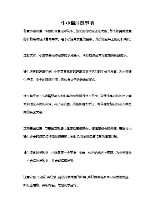 生小猫注意事项