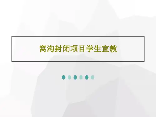 窝沟封闭项目学生宣教29页PPT
