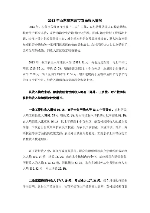 2013年山东省东营市农民收入情况